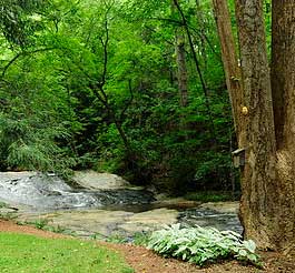 Garden Wedding Venue